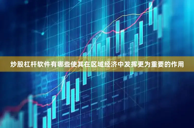 炒股杠杆软件有哪些使其在区域经济中发挥更为重要的作用