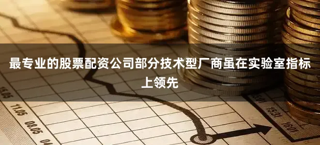 最专业的股票配资公司部分技术型厂商虽在实验室指标上领先