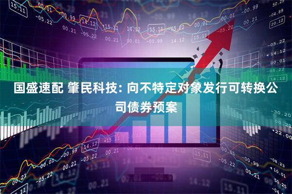 国盛速配 肇民科技: 向不特定对象发行可转换公司债券预案