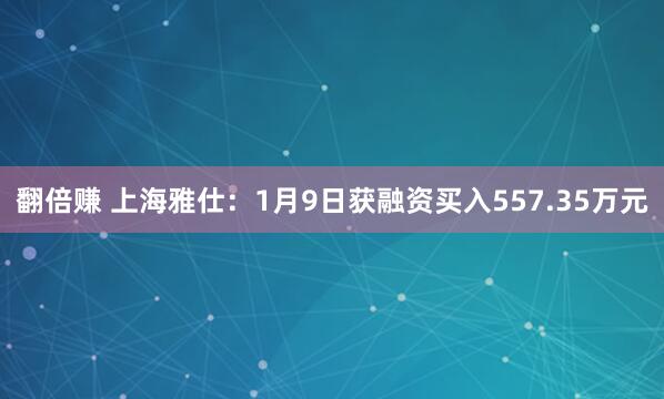 翻倍赚 上海雅仕：1月9日获融资买入557.35万元