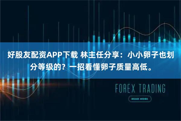 好股友配资APP下载 林主任分享：小小卵子也划分等级的？一招看懂卵子质量高低。